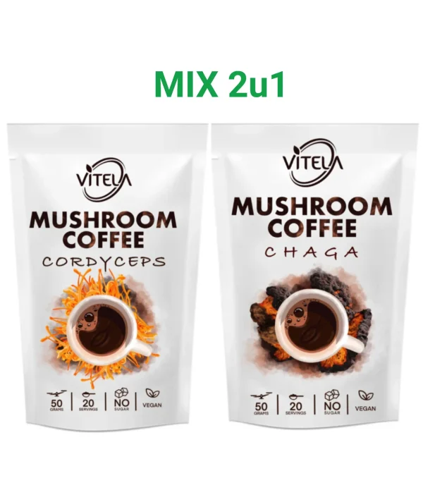 Cordyceps i Chaga kava s gljivama za energiju, otpornost i zdravlje