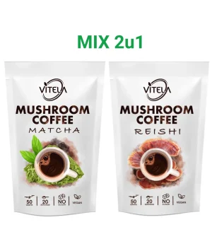 Matcha i Reishi kava s gljivama za prirodnu energiju i smirenje