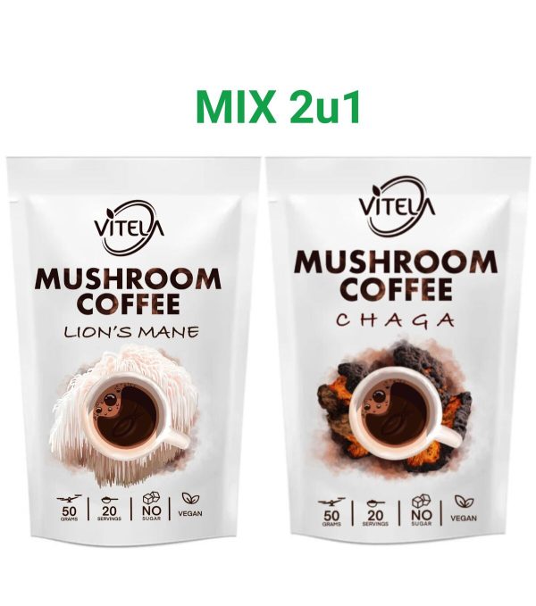 Lavlja griva i Chaga kava s gljivama za fokus, koncentraciju i jačanje imuniteta