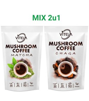 Matcha i Chaga kava s gljivama za prirodnu energiju i jačanje imuniteta