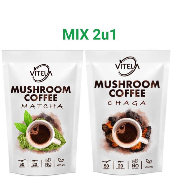 Matcha i Chaga kava s gljivama za prirodnu energiju i jačanje imuniteta