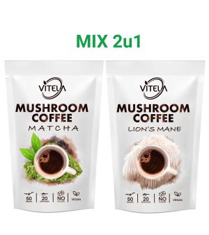 Matcha i Lavlja griva kava s gljivama za bolju koncentraciju i prirodnu energiju