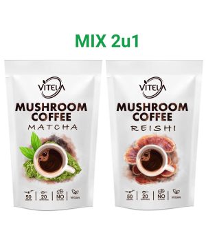 Matcha i Reishi kava s gljivama za prirodnu energiju i smirenje