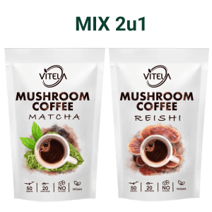 Matcha i Reishi kava s gljivama za prirodnu energiju i smirenje