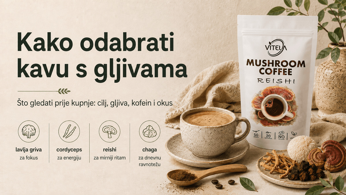 Kako odabrati kavu s gljivama – Vitela Mushroom Coffee Reishi, lavlja griva, cordyceps i chaga