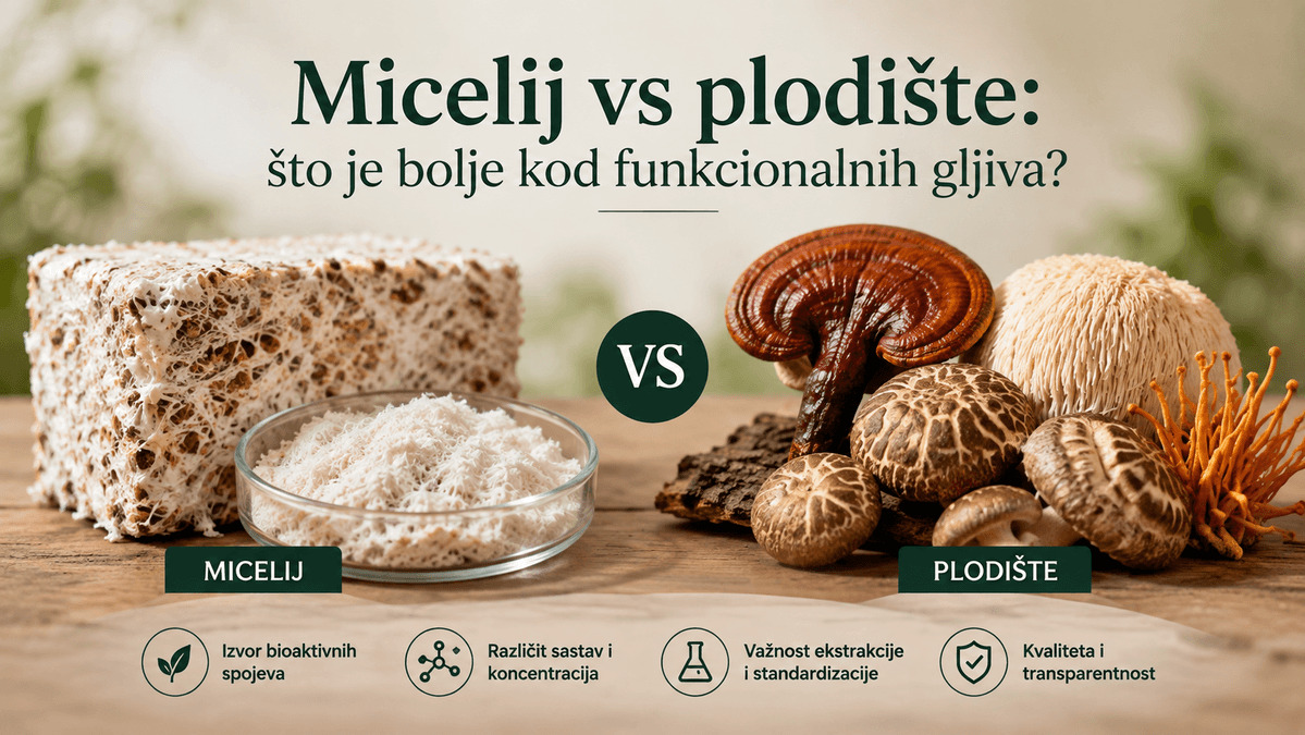 Micelij i plodište funkcionalnih gljiva – usporedba sastava, ekstrakcije i kvalitete