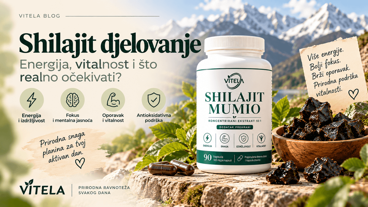 Shilajit djelovanje – energija, vitalnost i izdržljivost