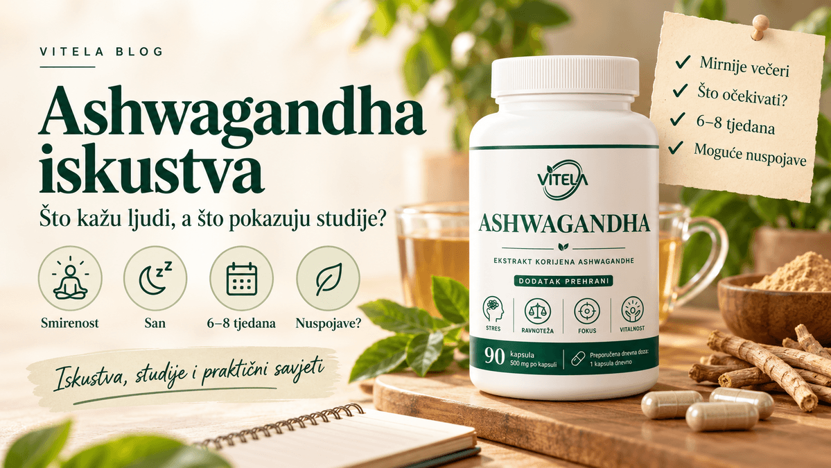 Ashwagandha iskustva – što kažu ljudi, studije, nuspojave i učinak nakon 6 do 8 tjedana