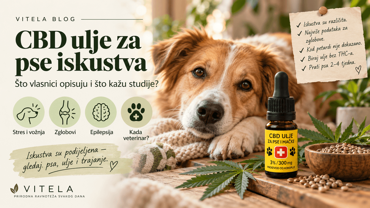 CBD ulje za pse – iskustva vlasnika i što kažu studije