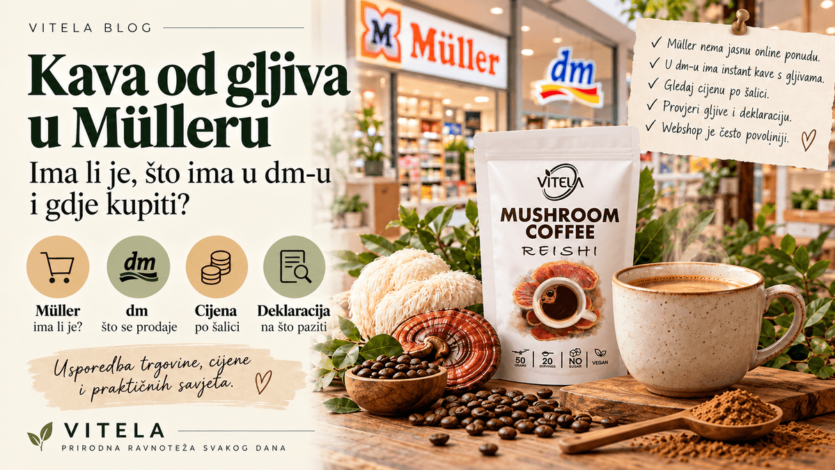 Kava od gljiva u Mülleru i dm-u – cijena, ponuda i usporedba s webshopom
