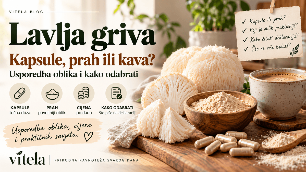 Lavlja griva kapsule, prah ili kava – usporedba oblika i kako odabrati